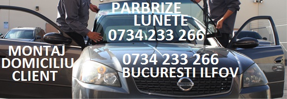 Parbrize NISSAN