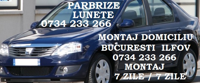 Fifth flute stay Parbrize DACIA