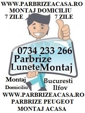 Parbrize PEUGEOT Parbriz PEUGEOT Montaj ACASA